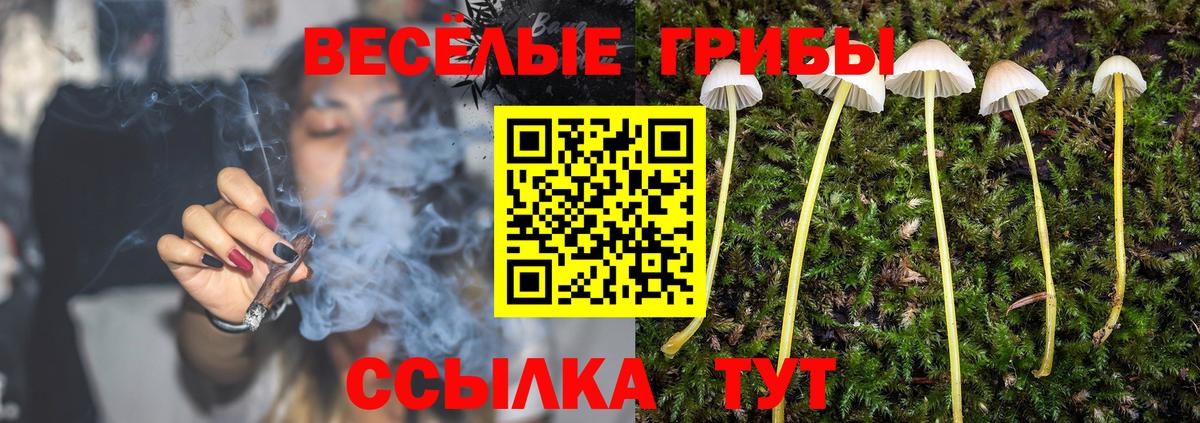 Коряжма  Галлюциногенные грибы Magic Shrooms  Вход с VPN 